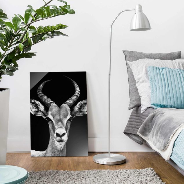 Glass prints pieces Impala antelope black & white
