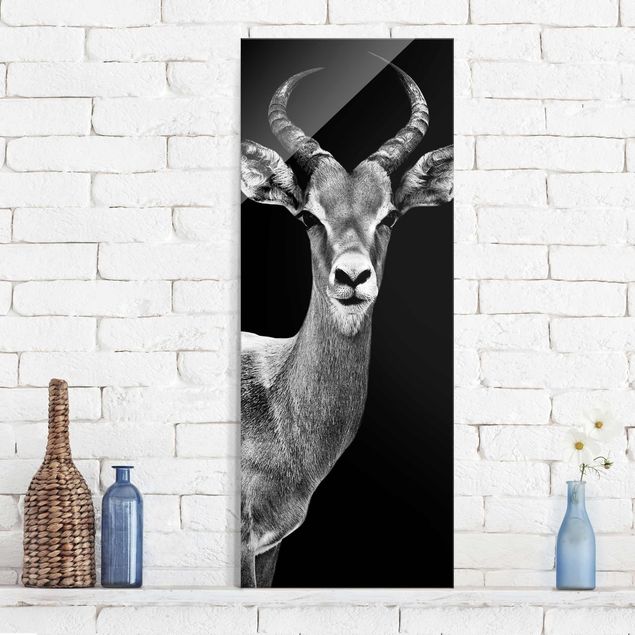 Kitchen Impala antelope black & white