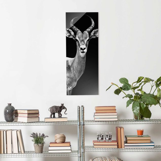 Glass prints pieces Impala antelope black & white