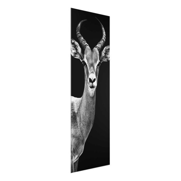 Prints animals Impala antelope black & white