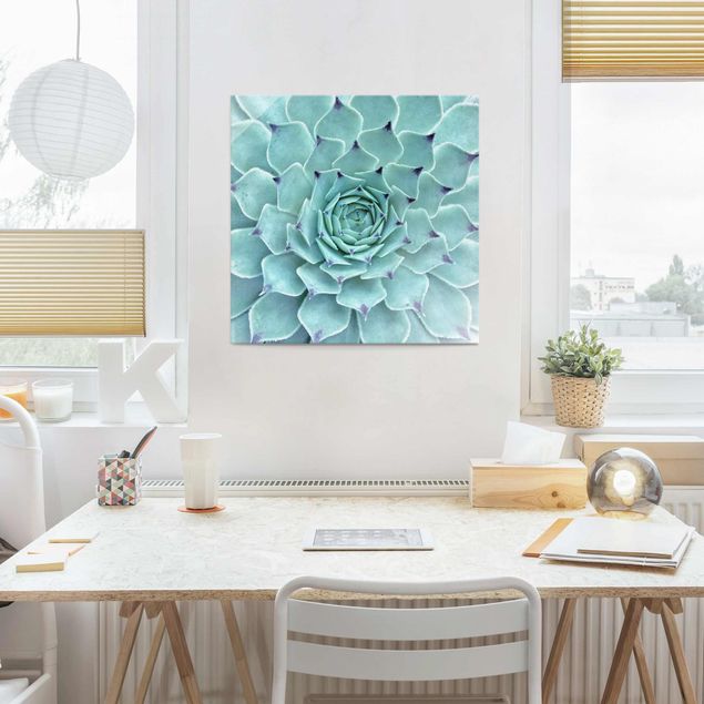 Glass prints flower Cactus Agave