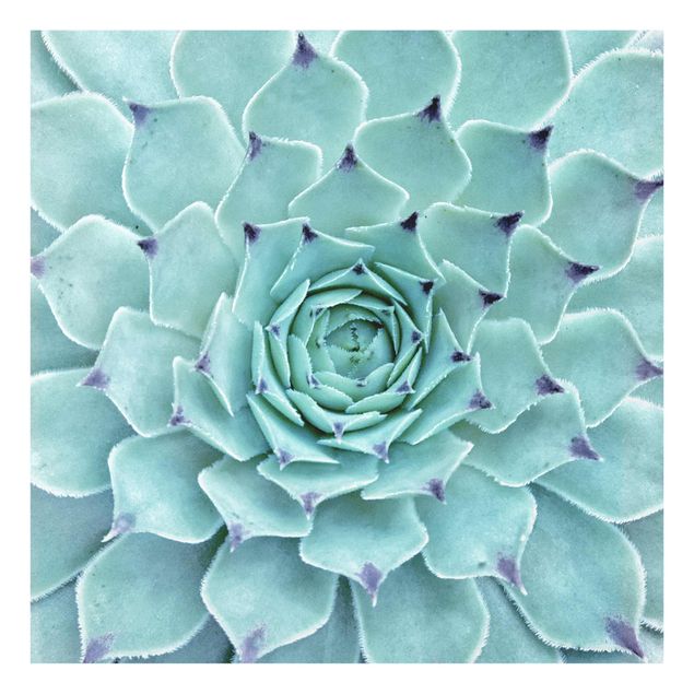 Turquoise canvas wall art Cactus Agave