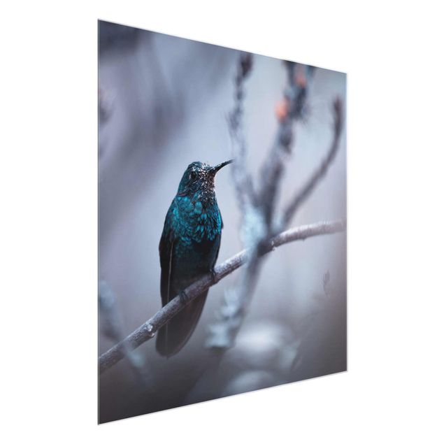 Glass prints pieces Hummingbird In Winter
