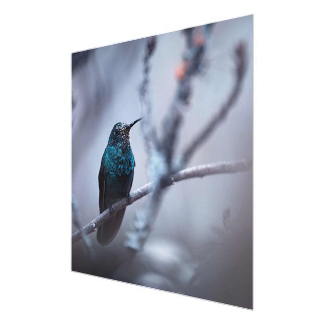 Prints Hummingbird In Winter