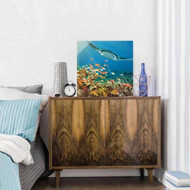 Glass prints pieces Coral reef