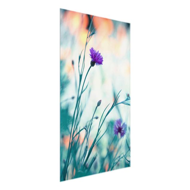 Glass prints flower Cornflowers