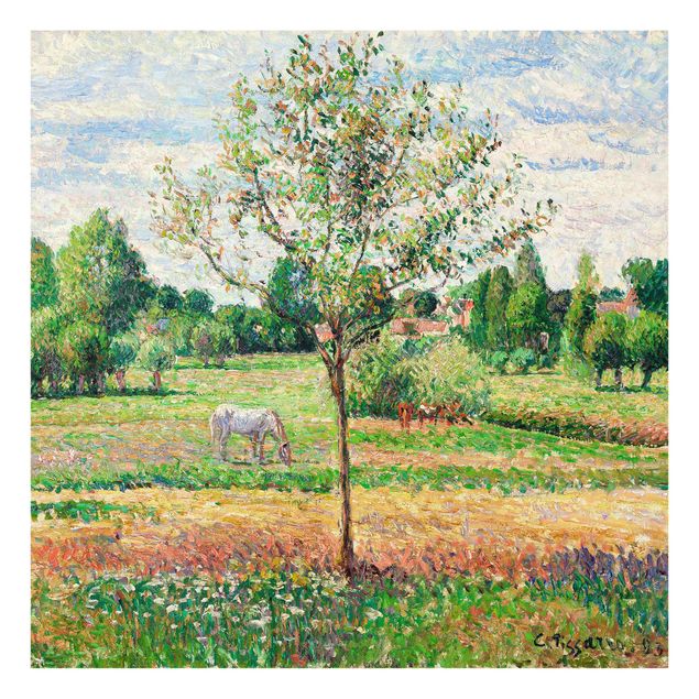 Art styles Camille Pissarro - Meadow with Grey Horse, Eragny