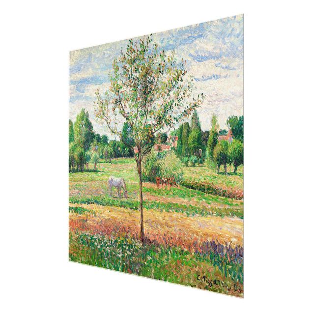 Prints landscape Camille Pissarro - Meadow with Grey Horse, Eragny