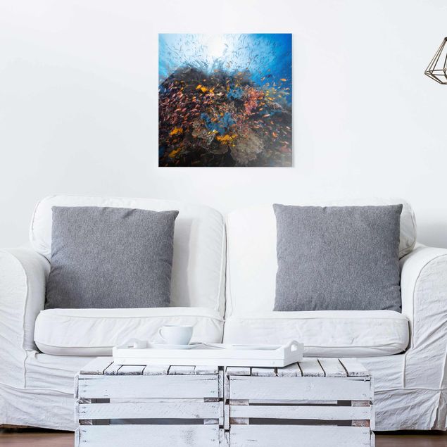 Landscape wall art Lagoon With Fish
