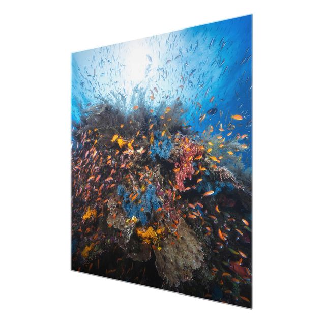 Glass prints landscape Lagoon With Fish