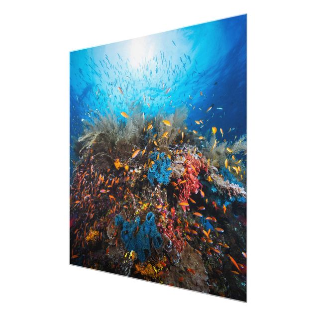 Glass prints beach Lagoon Underwater