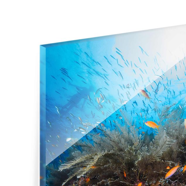 Glass prints pieces Lagoon Underwater