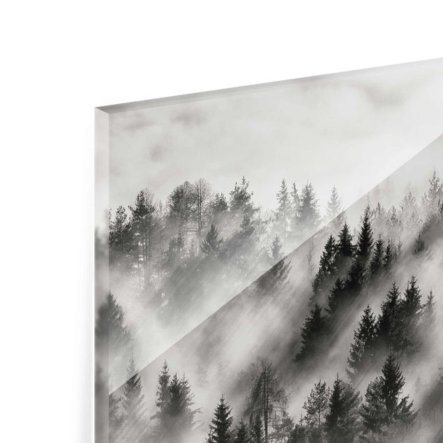 Black and white wall art Light Rays In The Coniferous Forest