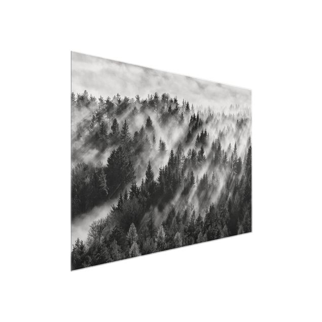 Glass prints black and white Light Rays In The Coniferous Forest