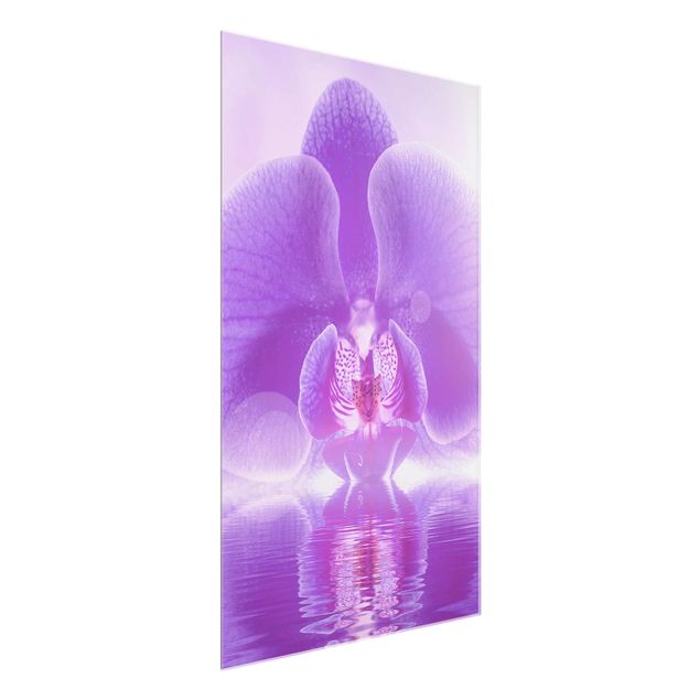 Glass prints flower Purple Orchid On Water