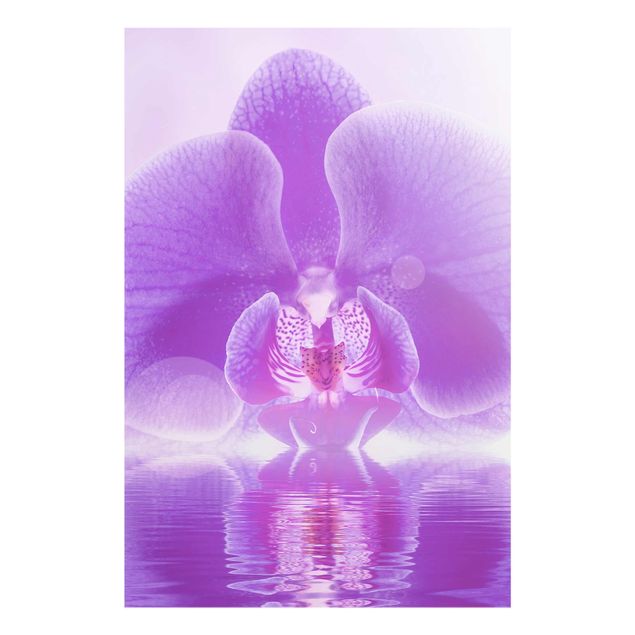 Flower print Purple Orchid On Water