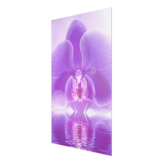 Prints flower Purple Orchid On Water
