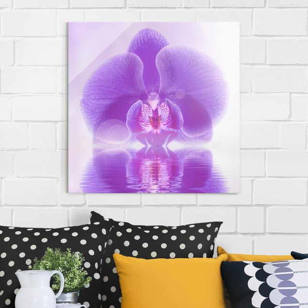 Kitchen Purple Orchid On Water