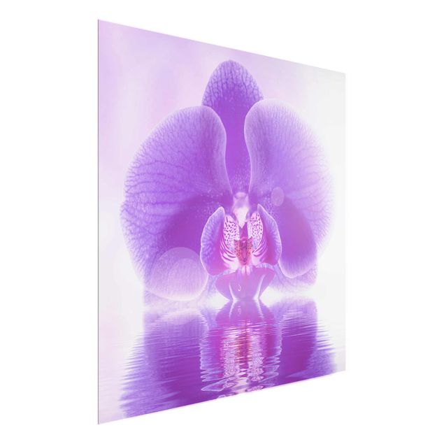 Glass prints flower Purple Orchid On Water