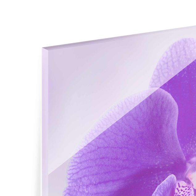Prints Purple Orchid On Water