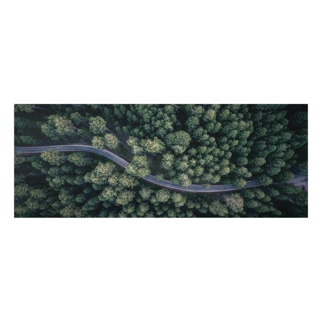 Modern art prints Aerial View - Forest Road From The Top