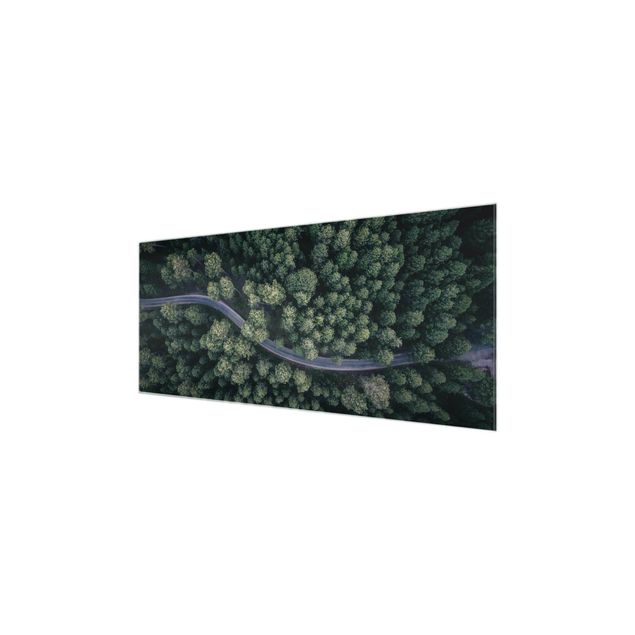 Nature wall art Aerial View - Forest Road From The Top