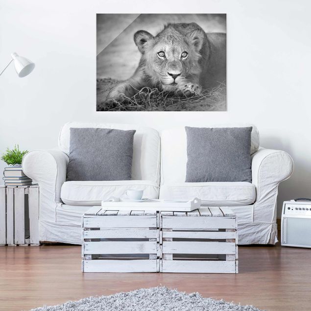 Glass prints black and white Lurking Lionbaby