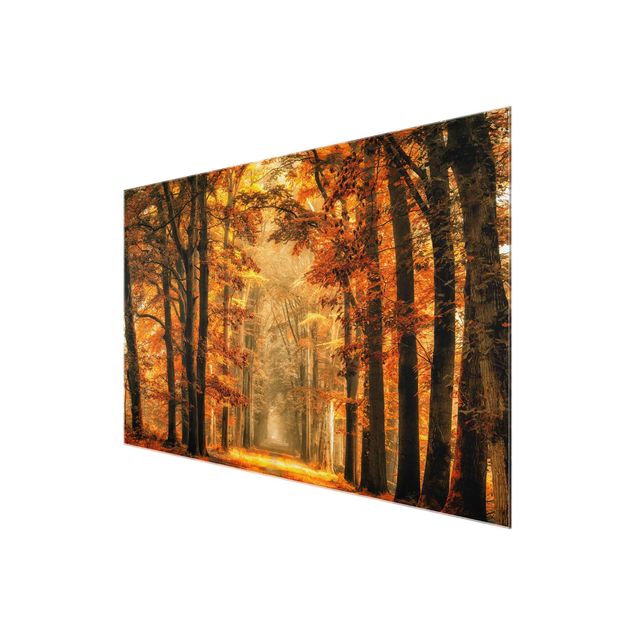 Nature wall art Enchanted Forest In Autumn