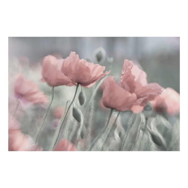 Floral canvas Picturesque Poppy