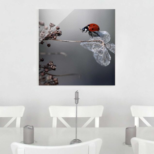 Glass prints flower Ladybird On Hydrangea