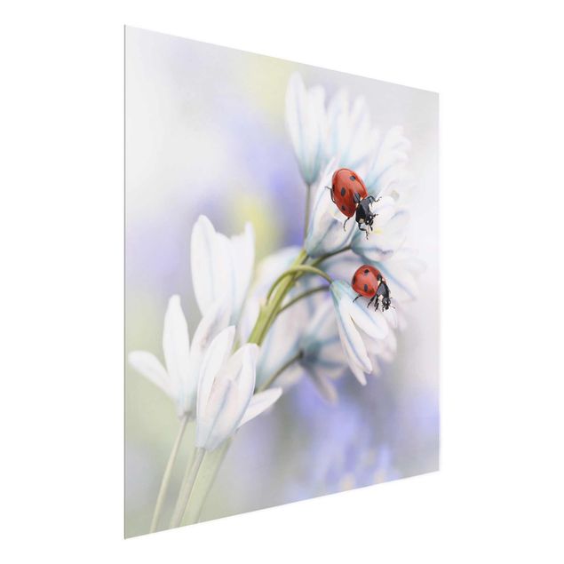 Prints flower Ladybird Couple