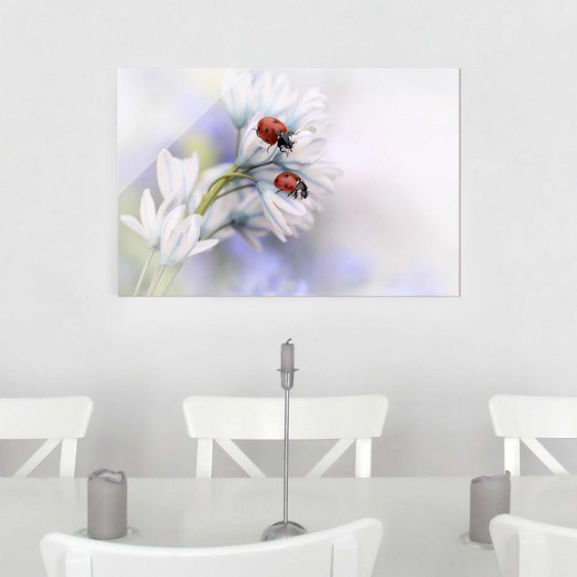 Glass prints flower Ladybird Couple