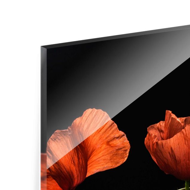 Red canvas wall art Poppies At Midnight