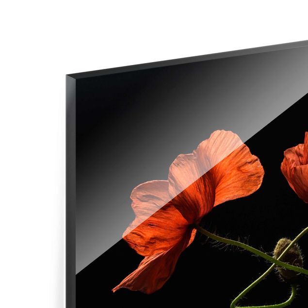 Red canvas wall art Poppies At Midnight