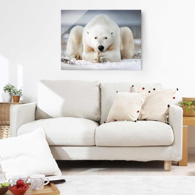 Bear wall art Contemplative Polar Bear
