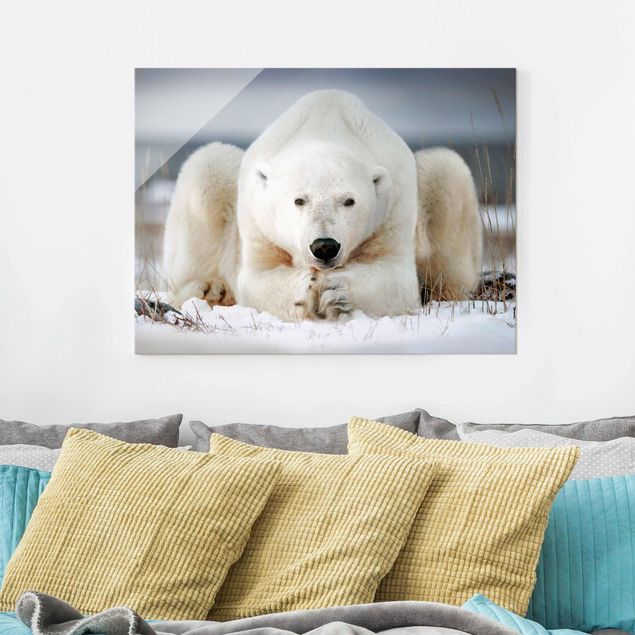 Kitchen Contemplative Polar Bear