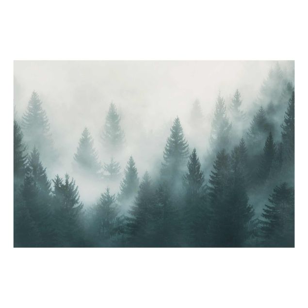 Prints modern Coniferous Forest In Fog