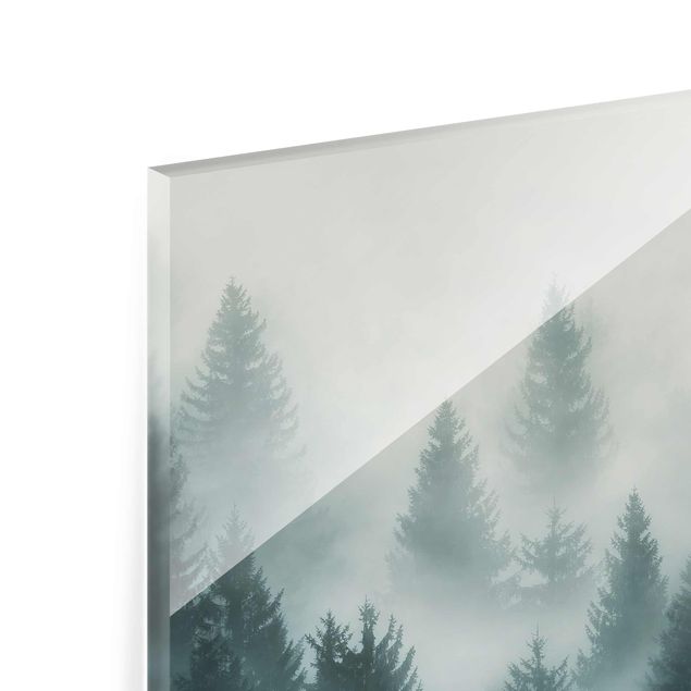 Prints Coniferous Forest In Fog