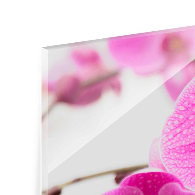 Glas Magnettafel Close-Up Orchid