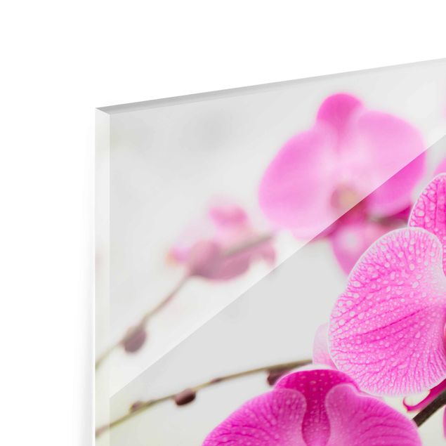 Glas Magnettafel Close-Up Orchid