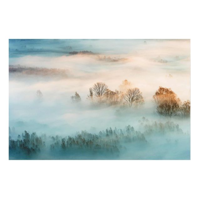 Glass prints landscape Fog At Sunrise