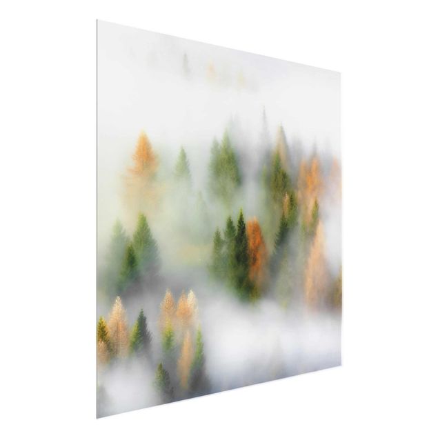 Glass prints landscape Cloud Forest In Autumn