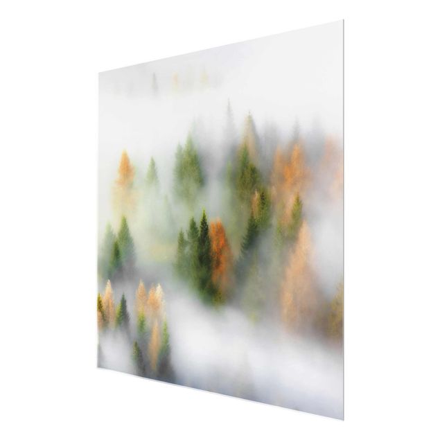 Nature art prints Cloud Forest In Autumn