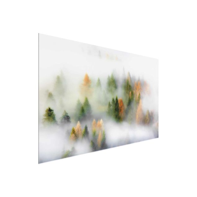 Glass prints landscape Cloud Forest In Autumn