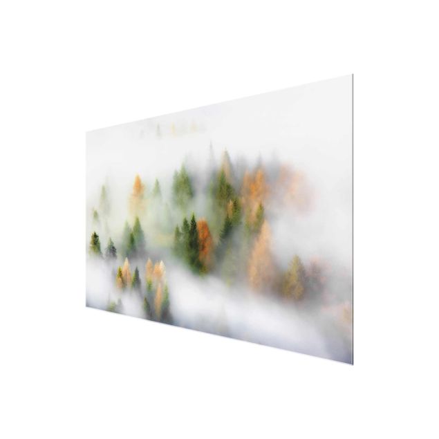 Nature art prints Cloud Forest In Autumn