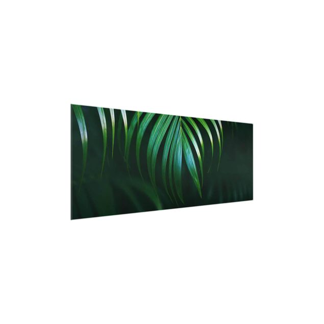 Floral picture Palm Fronds