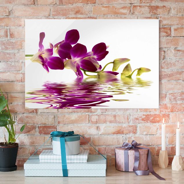 Glass prints orchid Pink Orchid Waters