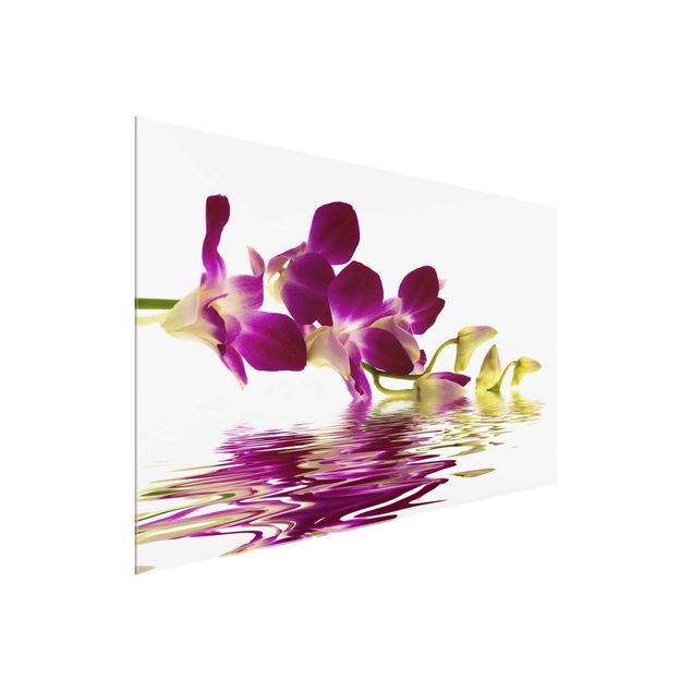Glass prints flower Pink Orchid Waters