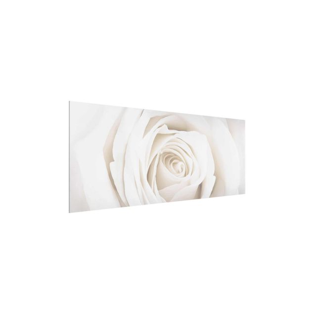 Prints floral Pretty White Rose