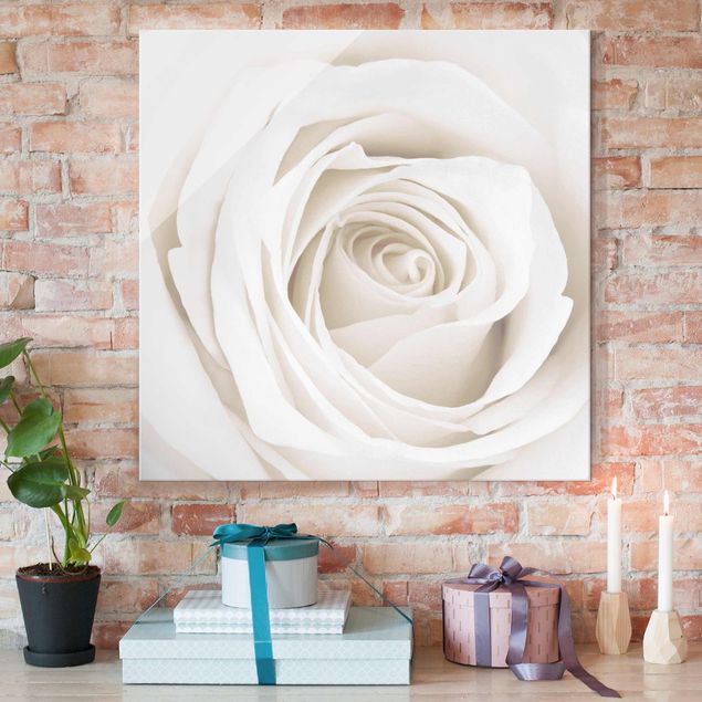 Glass prints rose Pretty White Rose